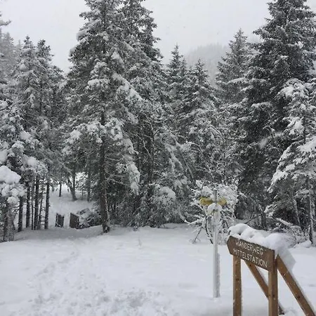 Ski-in & Out Alpine Style Near Kitzbuehel